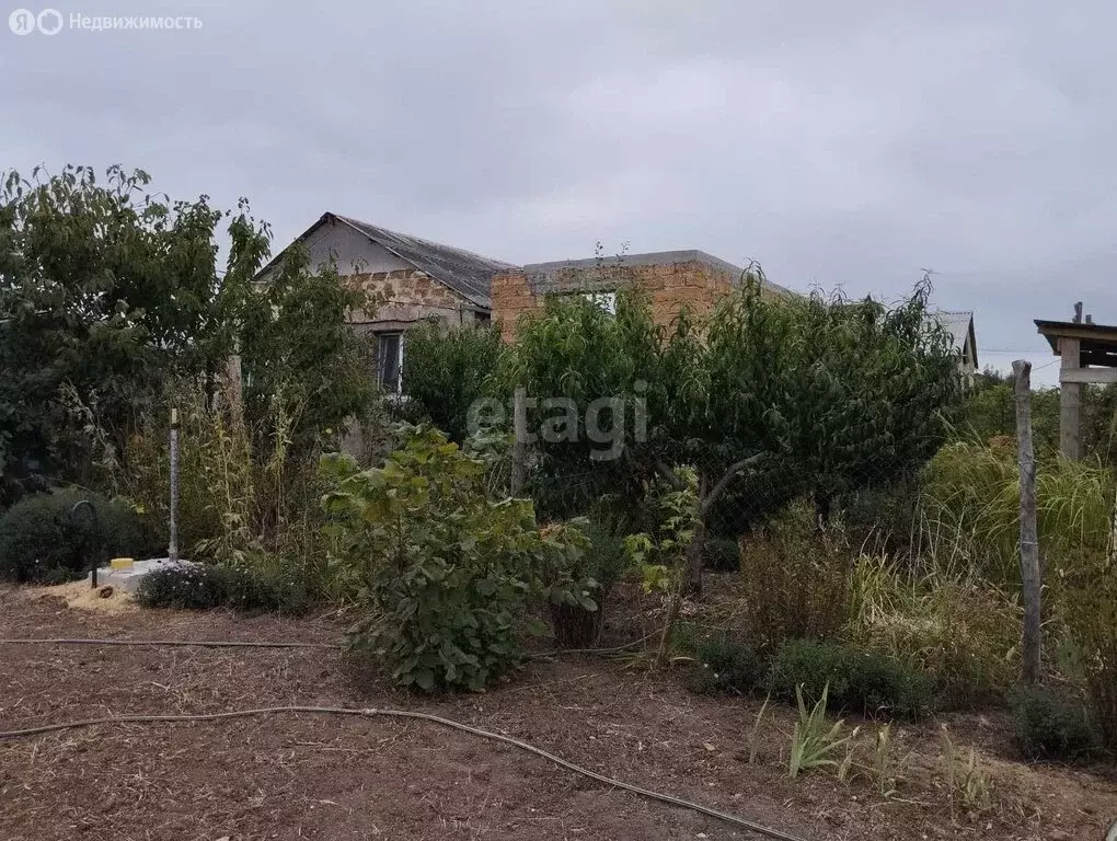 Дом в Доброе, Сливовая улица, 17 (49 м) - Фото 1