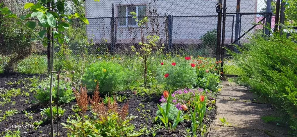 Участок 10 сот. (СНТ, ДНП) - Фото 1