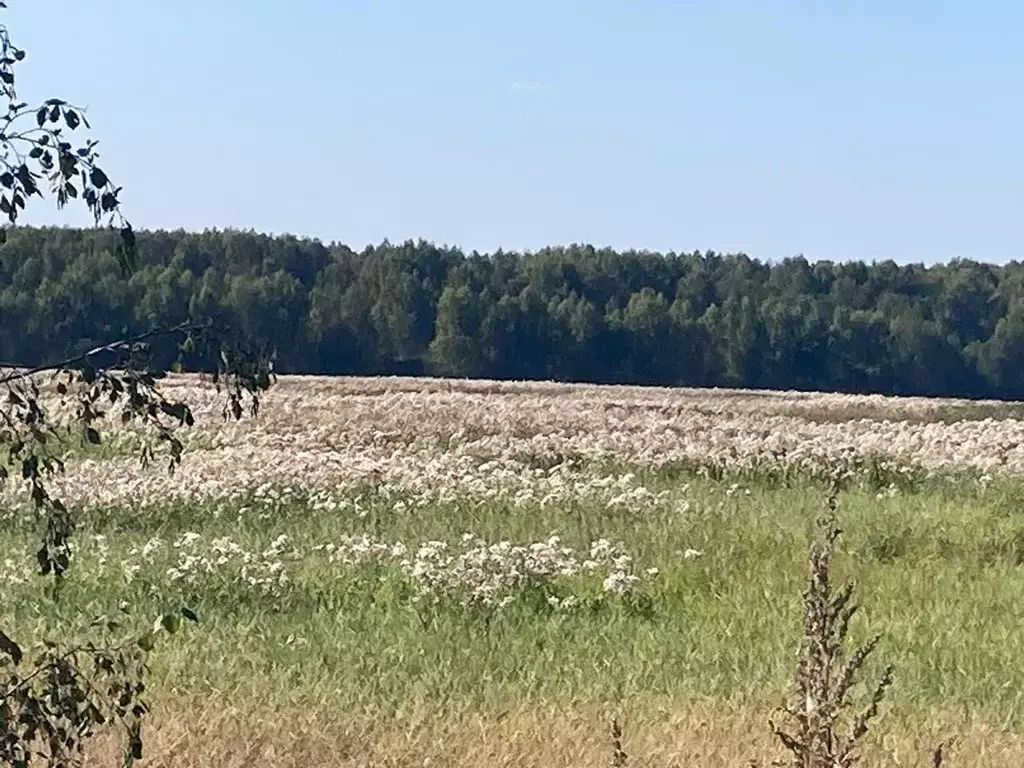 участок в московская область, сергиево-посадский городской округ, д. . - Фото 0