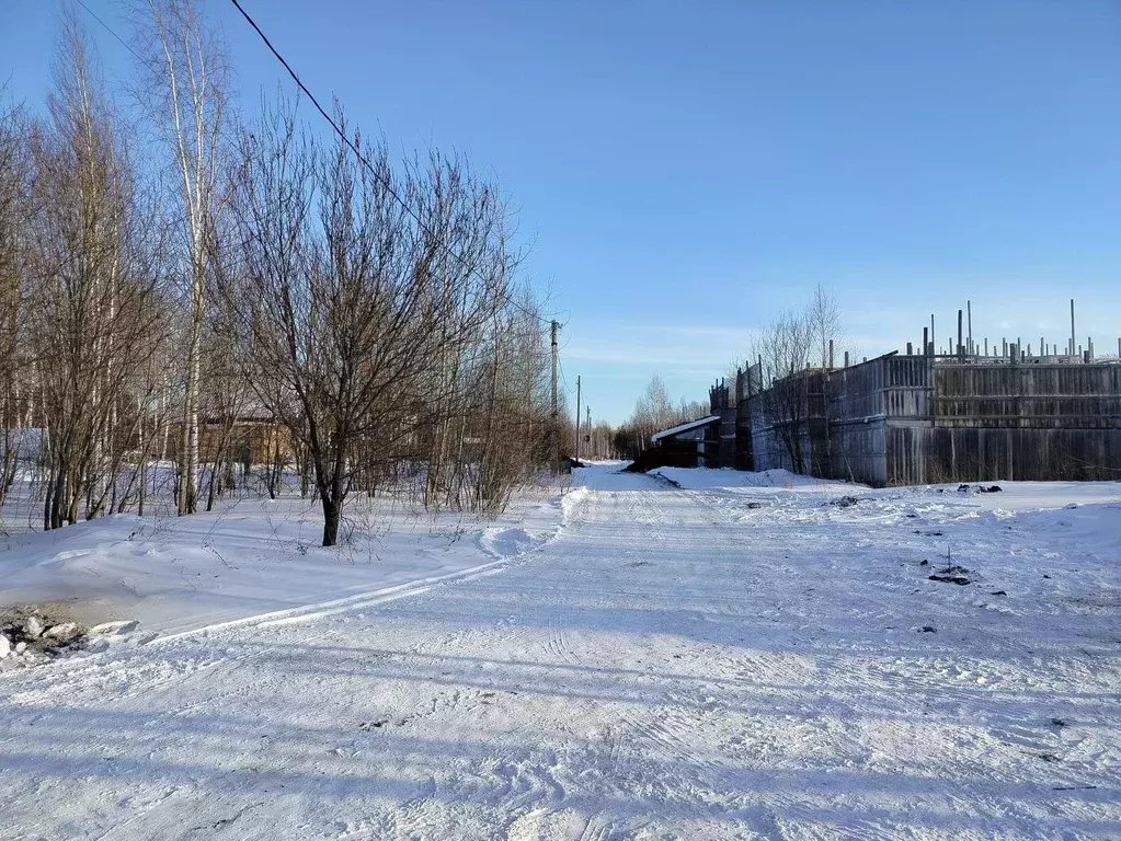 Участок в Новосибирская область, Новосибирский район, Станционный ... - Фото 0