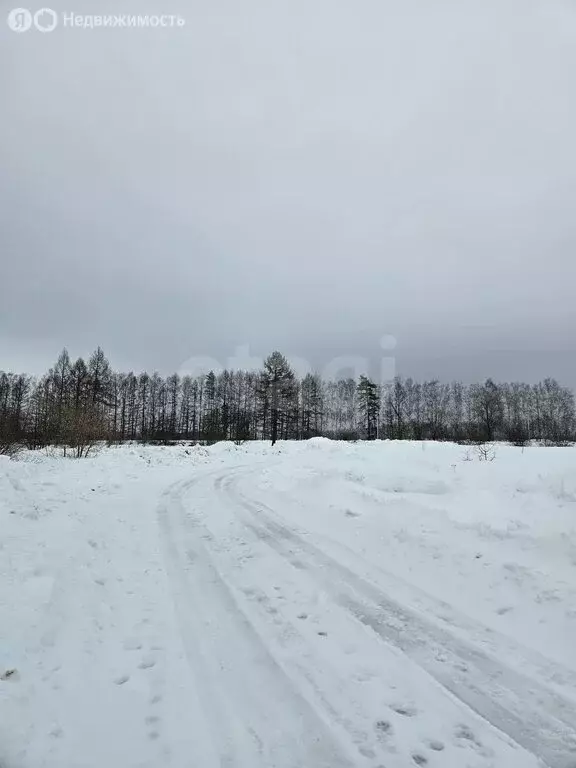 Участок в Тульская область, Венёвский муниципальный округ, село ... - Фото 2