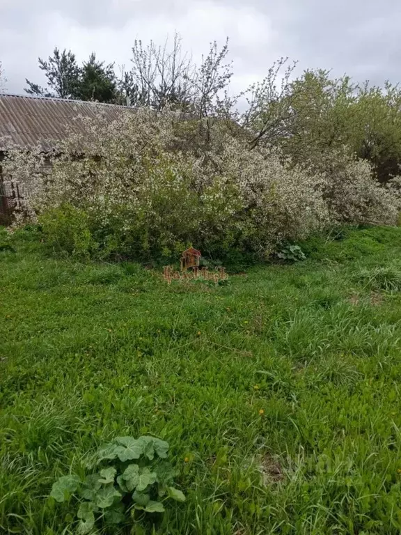 Участок в Московская область, Дмитровский муниципальный округ, д. ... - Фото 2