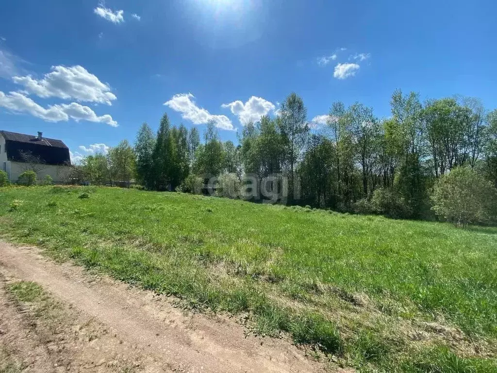 Участок в Ленинградская область, Киришский район, Пчевжинское с/пос, ... - Фото 1