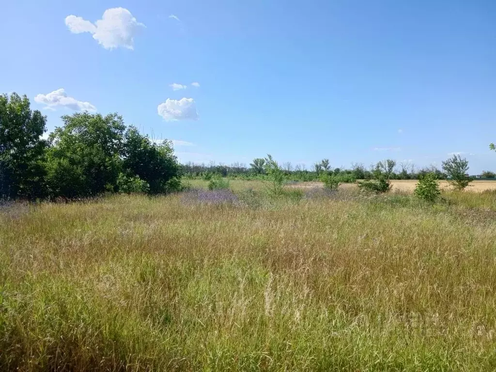 Участок в Краснодарский край, Ейск Восход СНТ, 625 (5.0 сот.) - Фото 1