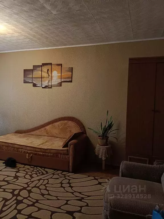 1-к кв. Алтайский край, Бийск ул. 2-я Набережная, 2/1 (29.7 м) - Фото 2