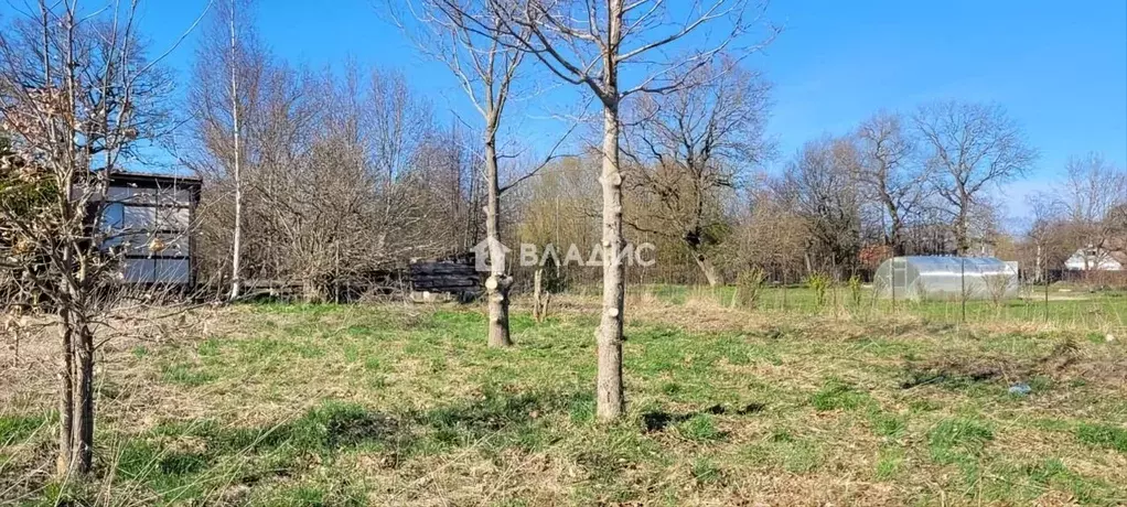 Участок в Калининградская область, Зеленоградский муниципальный округ, ... - Фото 2