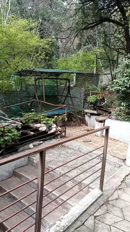 Дом в Крым, Ялта муниципальный округ, Гаспра пгт  (25 м) - Фото 2