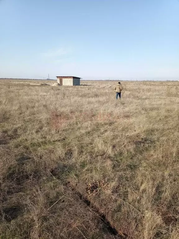 Участок в Ростовская область, Волгодонск ул. Тульская, 39 (6.0 сот.) - Фото 1