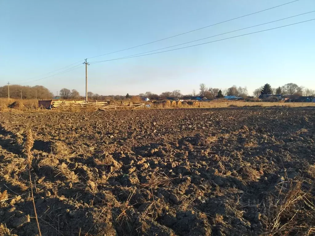 Участок в Приморский край, Октябрьский муниципальный округ, с. ... - Фото 1