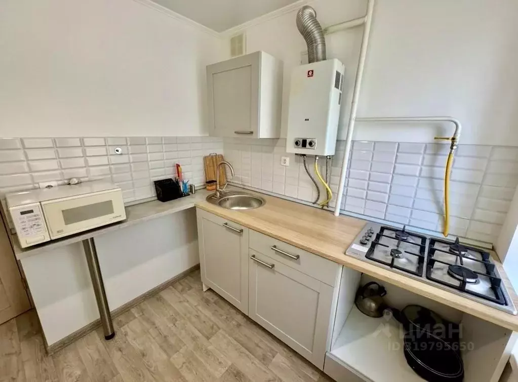 1-к кв. Татарстан, Казань ул. Волкова, 77 (31.0 м) - Фото 1