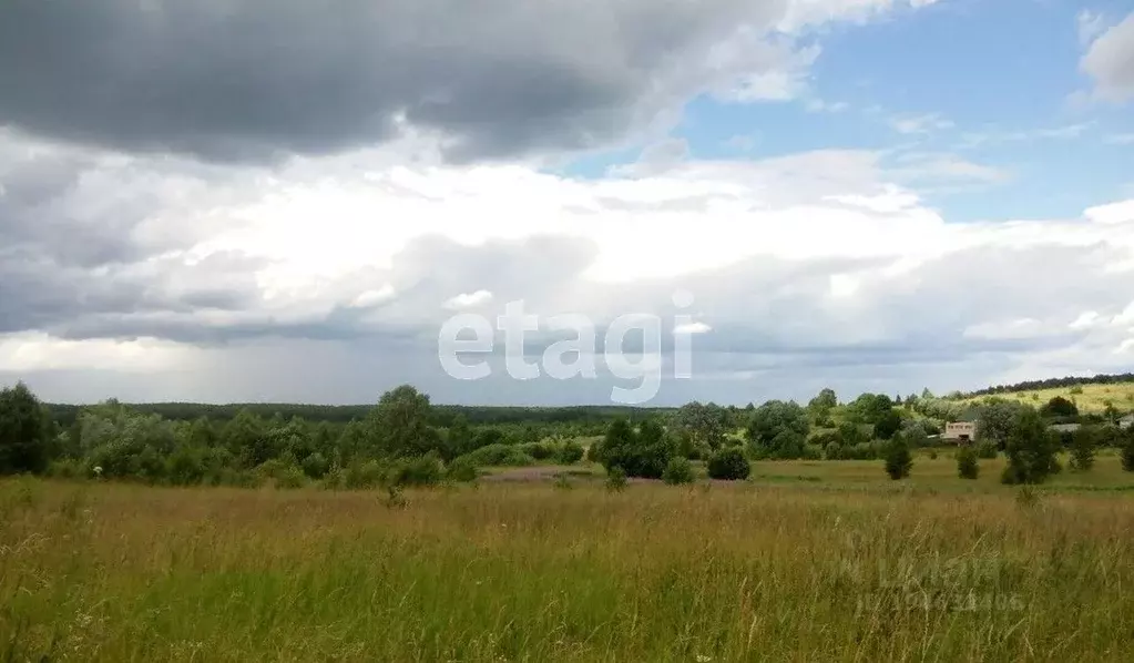 Участок в Свердловская область, Каменский городской округ, с. ... - Фото 0