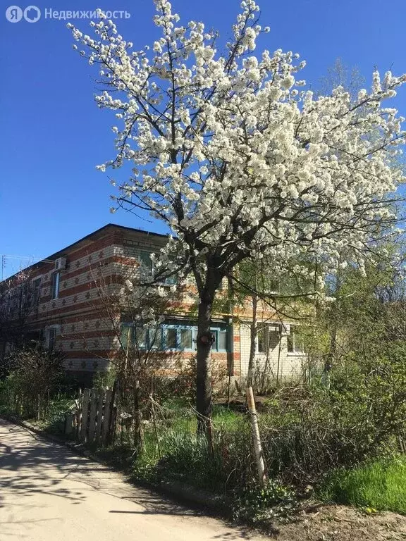 2-комнатная квартира: Анапа, Парковая улица, 68 (50 м) - Фото 1