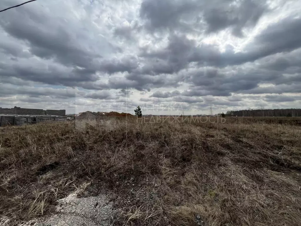 Участок в Тюменская область, Тюменский район, с. Каменка  (10.0 сот.) - Фото 0