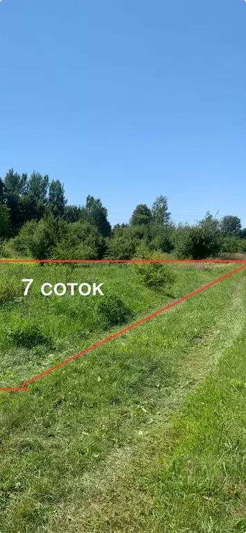 Участок в Калининградская область, Зеленоградский муниципальный округ, ... - Фото 0