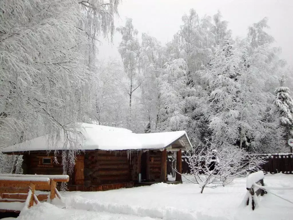 Дом в Московская область, Истра муниципальный округ, д. Духанино ул. ... - Фото 1