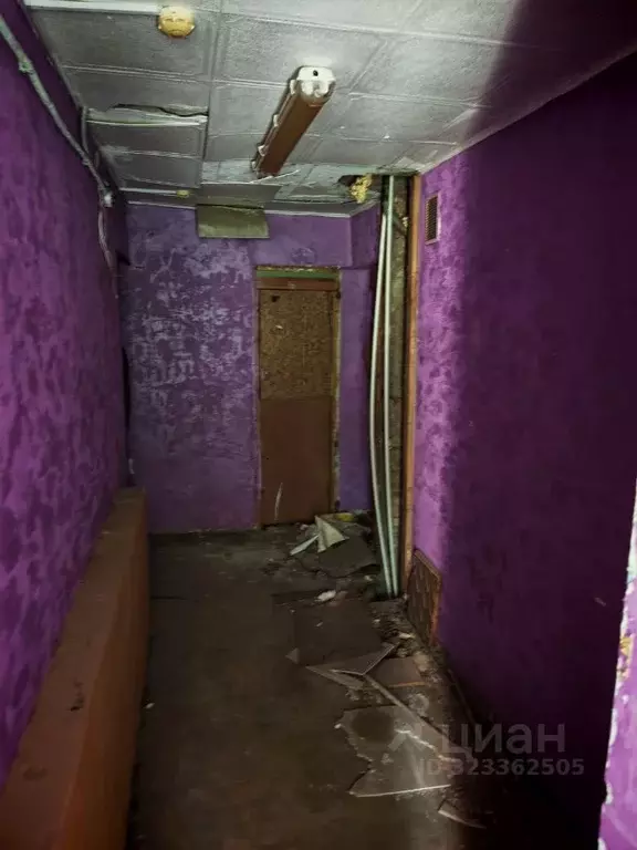 Помещение свободного назначения в Омская область, Омск Звездная ул., ... - Фото 2