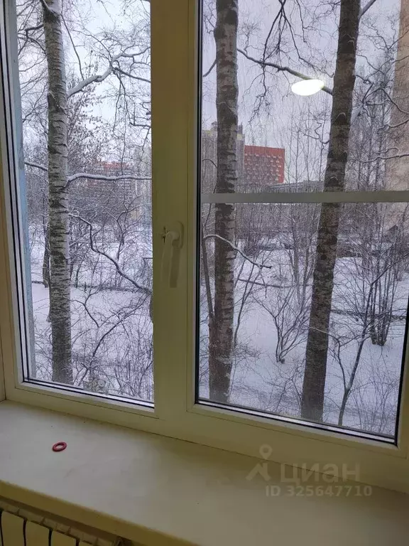 2-к кв. Санкт-Петербург ул. Маршала Тухачевского, 33 (59.1 м) - Фото 2