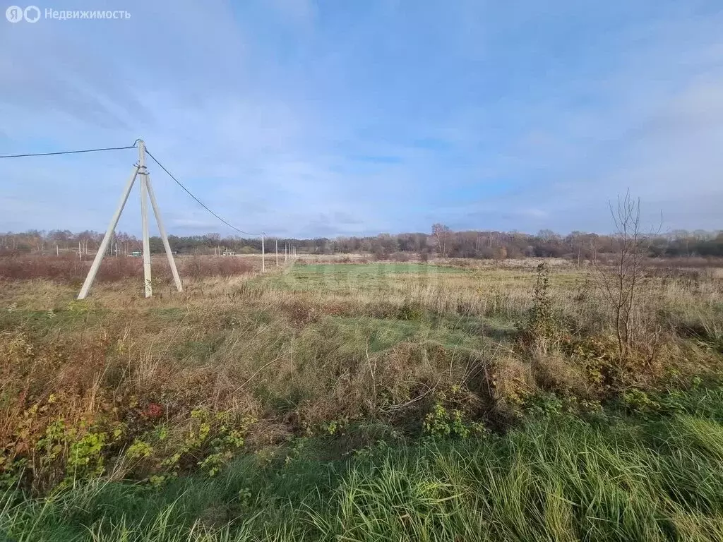 Участок в Калининградская область, Зеленоградский муниципальный округ, ... - Фото 2
