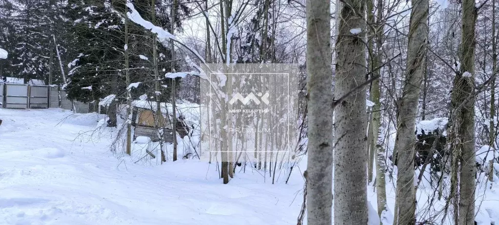 Участок в Ленинградская область, Всеволожск Пушкинская ул., 124 (20.2 ... - Фото 1