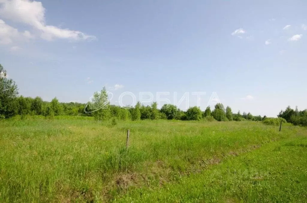 Участок в Тюменская область, Тюменский муниципальный округ, с. Княжево ... - Фото 2