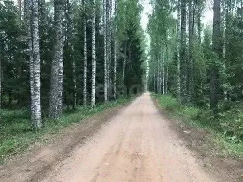Участок в Ленинградская область, Тосненский район, Трубникоборское ... - Фото 1