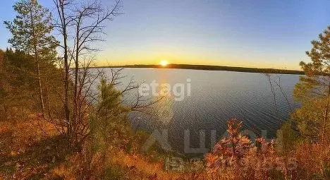 Участок в Пермский край, Добрянский городской округ, д. Залесная ул. ... - Фото 1