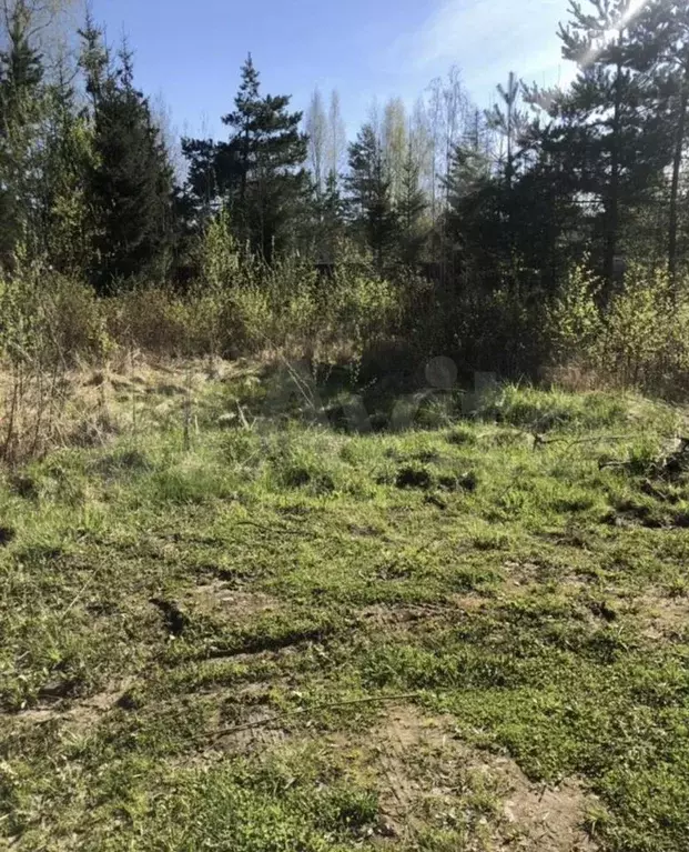 Участок 6 сот. (СНТ, ДНП) - Фото 0