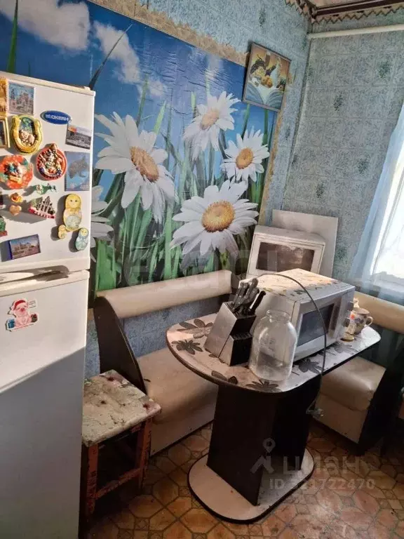 Дом в Амурская область, с. Константиновка ул. Ленина, 116 (54 м) - Фото 1