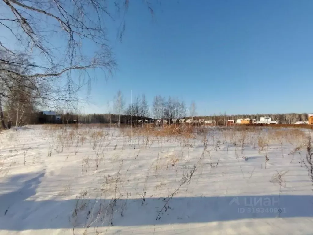 Участок в Тюменская область, Тюменский район, д. Решетникова  (64.36 ... - Фото 1