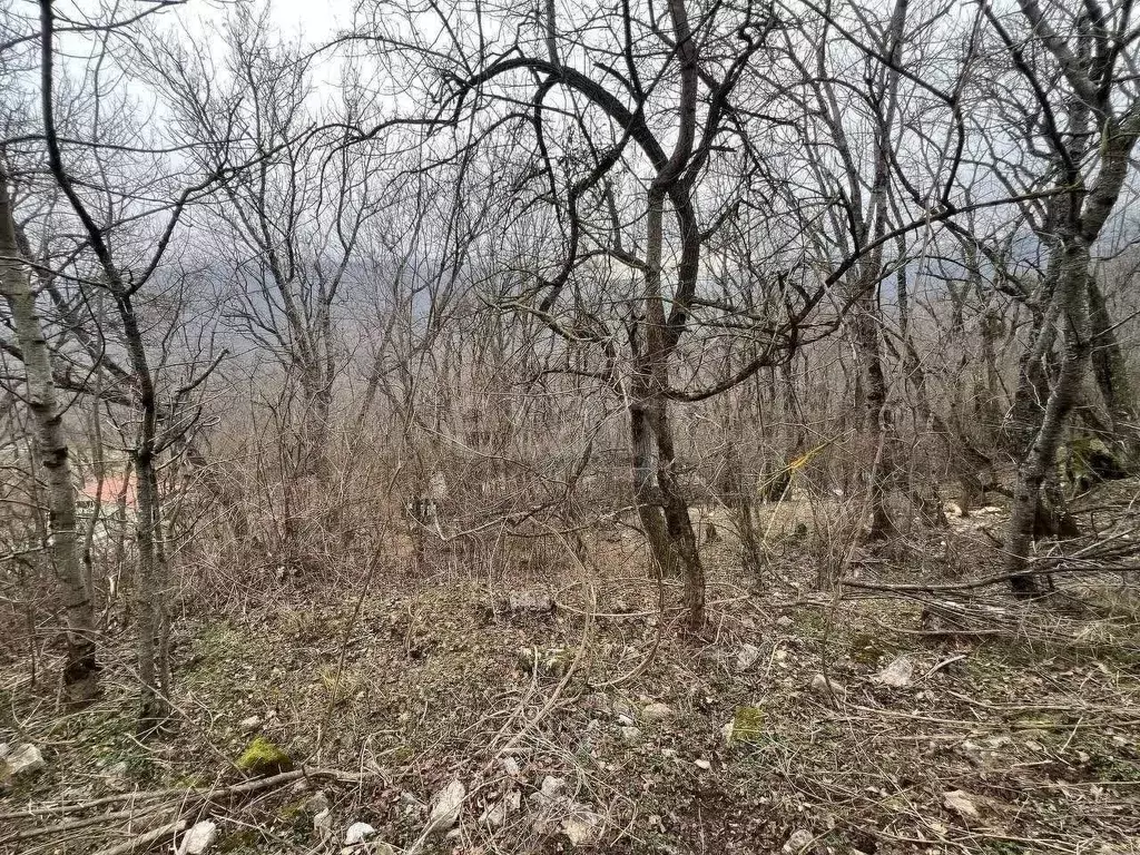 Участок в Крым, Алушта муниципальный округ, пос. Розовый ул. Мирная, ... - Фото 0