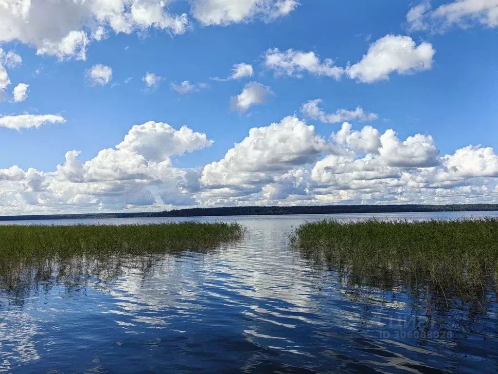 Участок в Ленинградская область, Приозерский район, Плодовское с/пос, ... - Фото 1