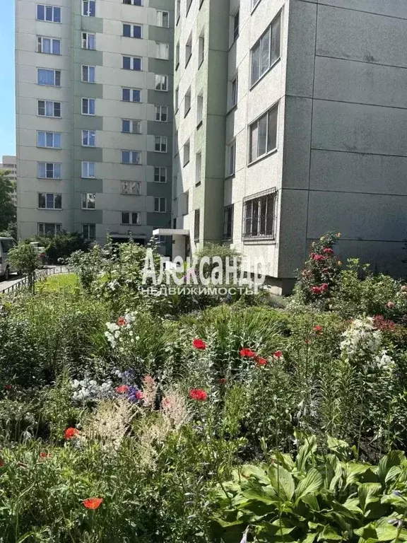 2-к кв. Ленинградская область, Всеволожск Южный мкр, ул. Знаменская, ... - Фото 2