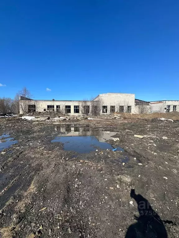 Производственное помещение в Архангельская область, Приморский ... - Фото 1