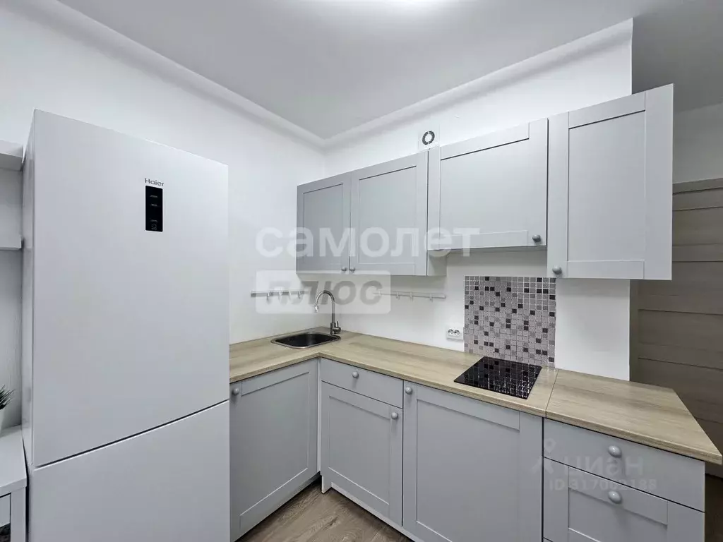 Студия Санкт-Петербург ул. Летчика Лихолетова, 14к2 (24.5 м) - Фото 0