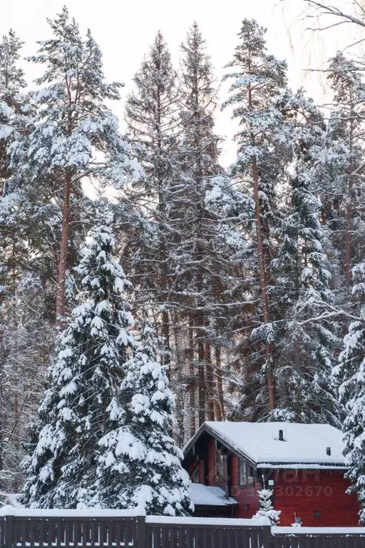 Участок, 10 сот., поселения (ижс) - Фото 2