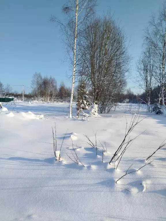 Участок в Московская область, Клин городской округ, д. Малеевка  (15.6 ... - Фото 1