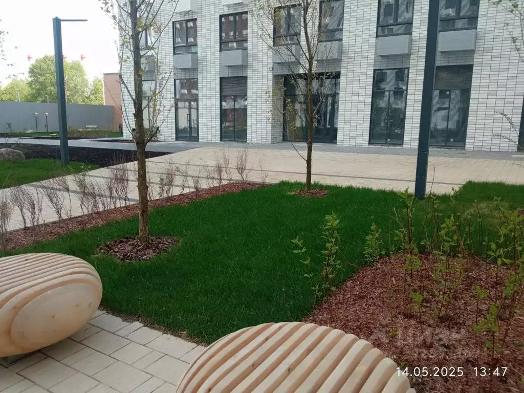 Помещение свободного назначения в Москва Кольская ул., 8к1 (230 м) - Фото 1