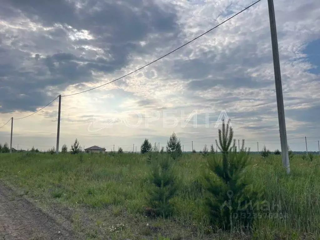 Участок в Тюменская область, Тюменский муниципальный округ, д. Елань, ... - Фото 0