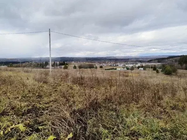 Участок в Пермский край, Пермский муниципальный округ, д. Большакино  ... - Фото 1