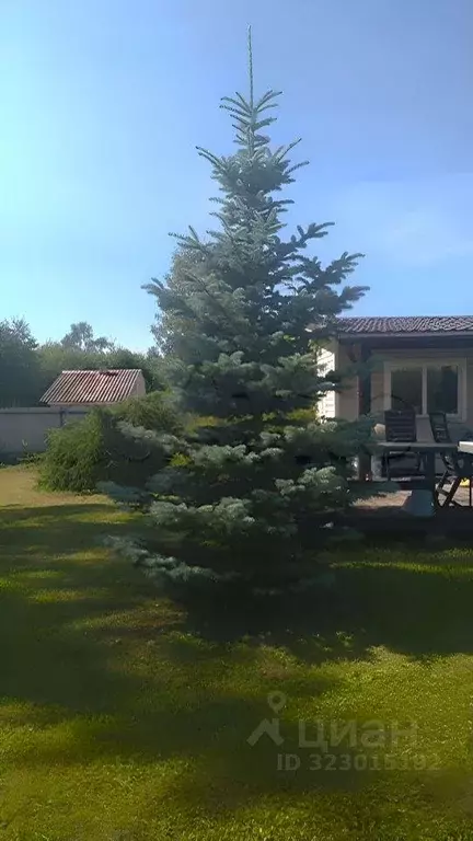 Участок, 15 сот., 0 - Фото 1