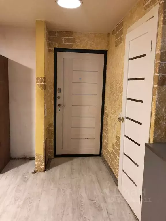 Студия Курганская область, Курган просп. Конституции, 77Б (22.2 м) - Фото 2