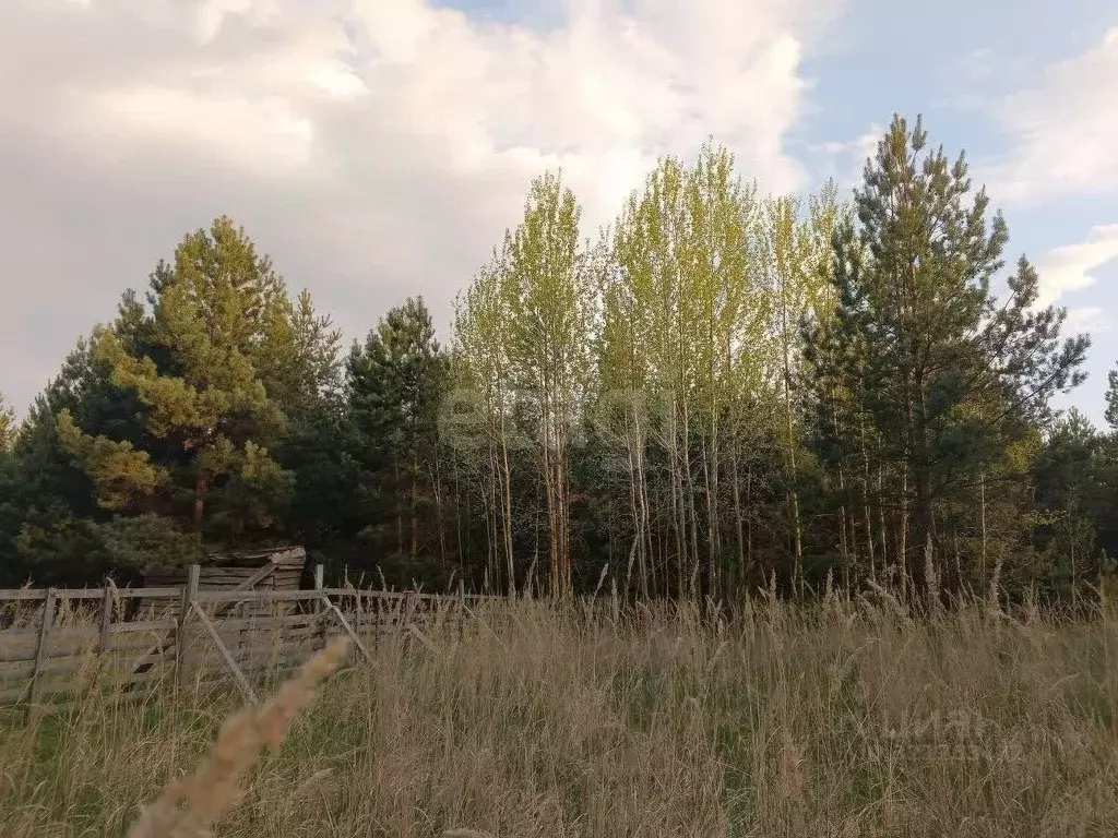 Дом в Липецкая область, Грязинский район, Плехановский сельсовет, с. ... - Фото 1