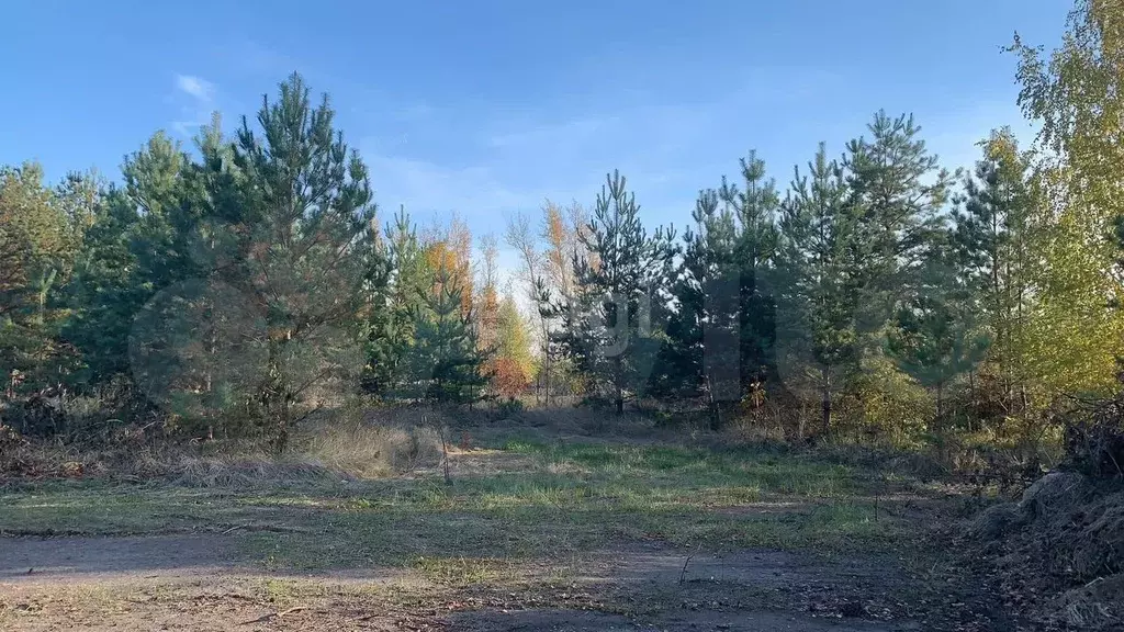 Участок 15 сот. (СНТ, ДНП) - Фото 0