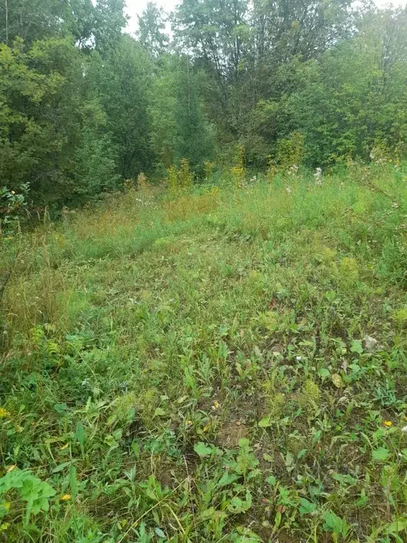 Дом в Пермский край, Нытвенский муниципальный округ, с. Ленино  (15 м) - Фото 2