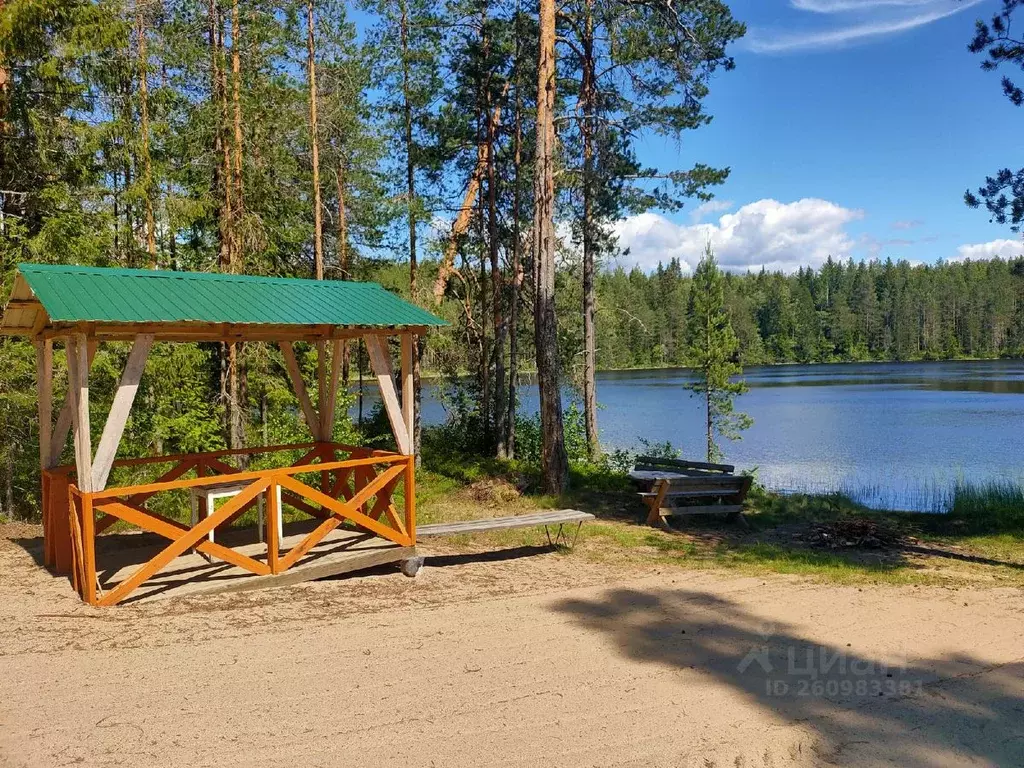 Дом в Карелия, Олонецкий район, Коверское с/пос, д. Сяндеба  (50 м) - Фото 0
