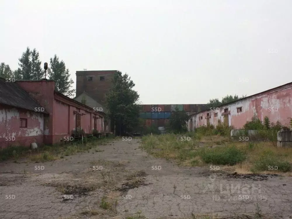 Склад в Московская область, Балашиха городской округ, д. Черное ул. ... - Фото 1