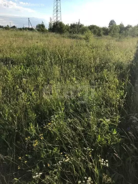 Участок в Нижний Тагил, улица Фаины Шаруновой (10 м) - Фото 1