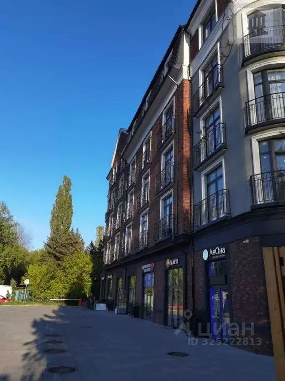 Студия Калининградская область, Светлогорск Калининградский просп., ... - Фото 1