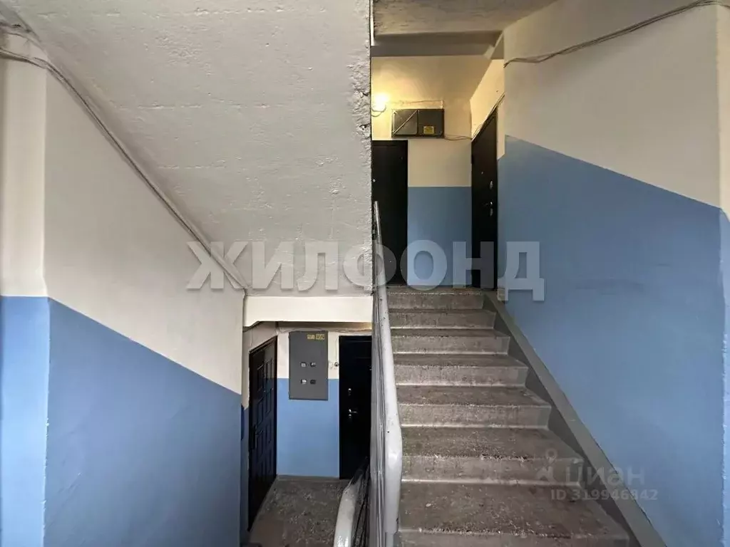 3-к кв. Новосибирская область, Новосибирск ул. Твардовского, 10 (60.2 ... - Фото 0