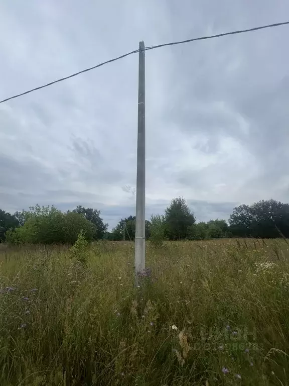 Участок в Нижегородская область, Володарск Полевая ул., 1 (8.0 сот.) - Фото 1